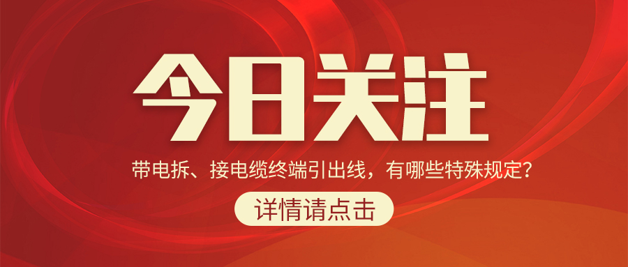 带电拆、接电缆终端引出线，有哪些特殊规定？